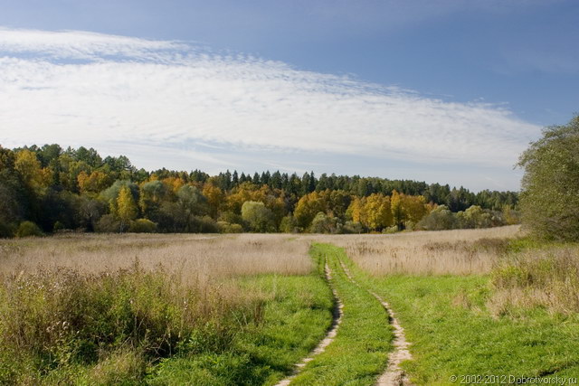 Полем