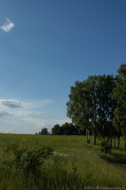 Зелёное и голубое